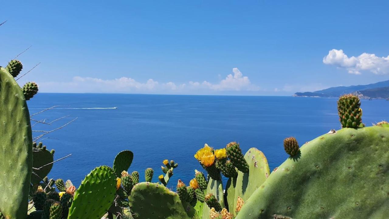 Appartamento I Due Pini Capoliveri (Isola d'Elba)